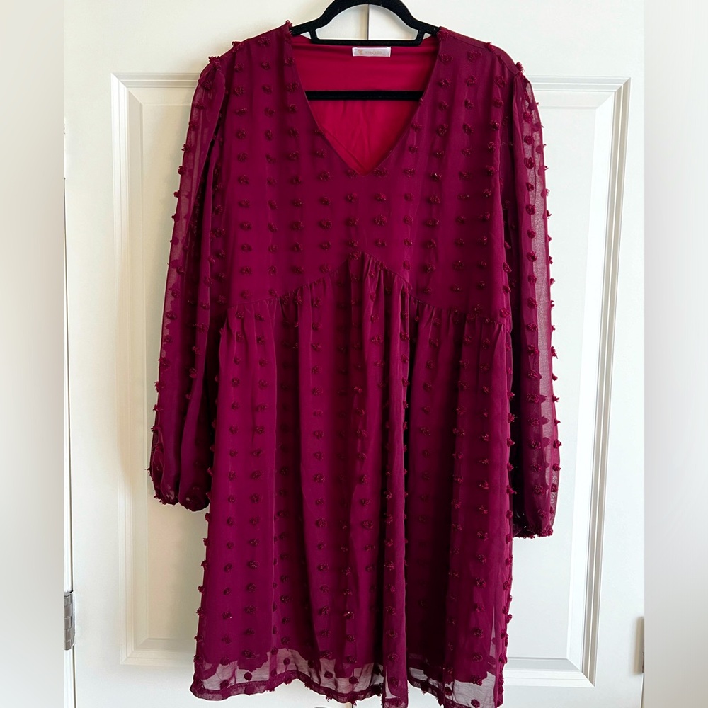 Long sleeve short length Burgundy dress.